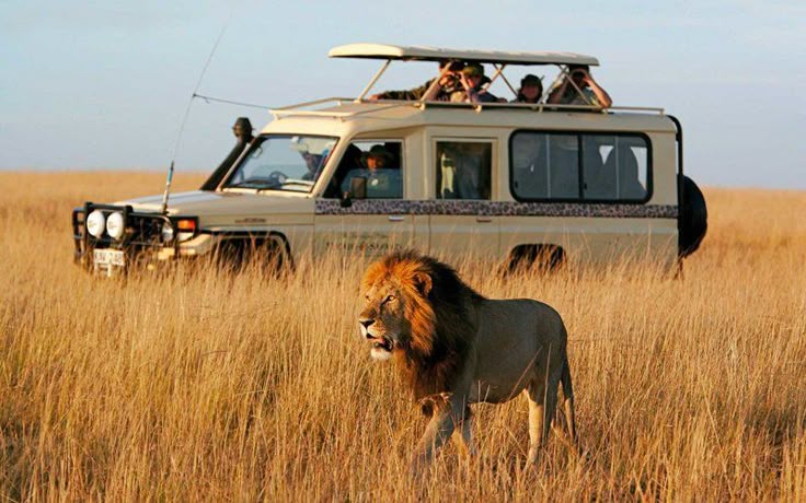 mara savanna