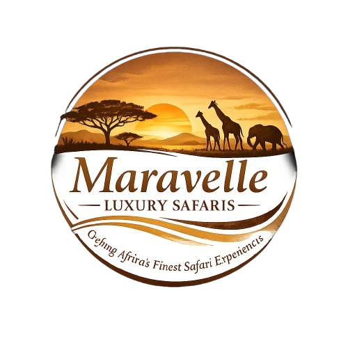 Maravelle Safaris